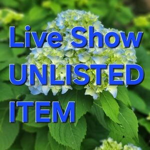 Hydrangea Flower Arrangement